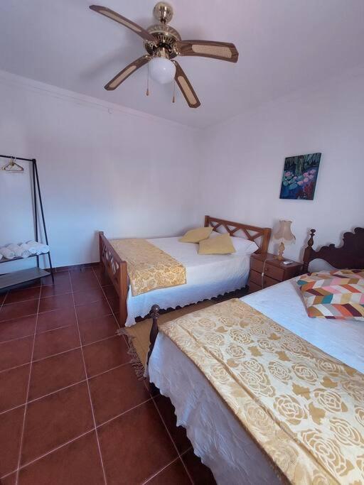 Casa Amarela - Praias Alqueva Povoa de Sao Miguel Eksteriør bilde